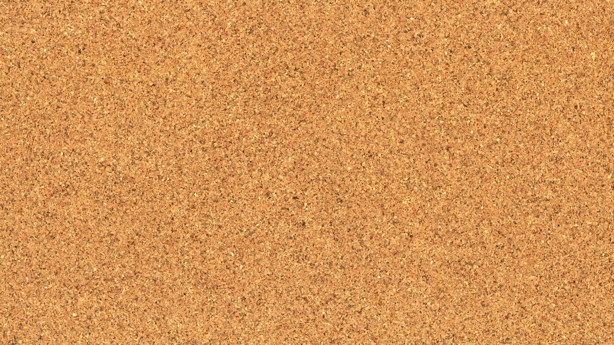 A cork pin-board